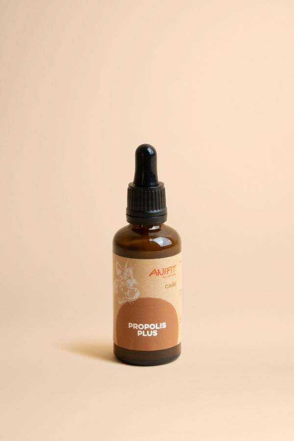 Propoli rimedio naturale per cani e gatti